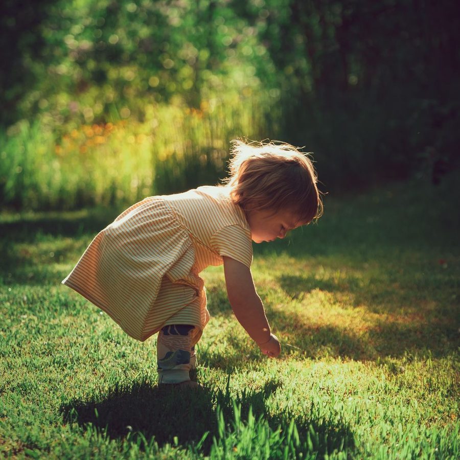 Anak bermain di hutan